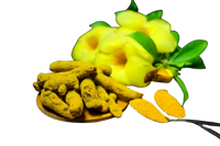 Turmeric