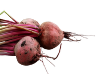 Ingredient Name